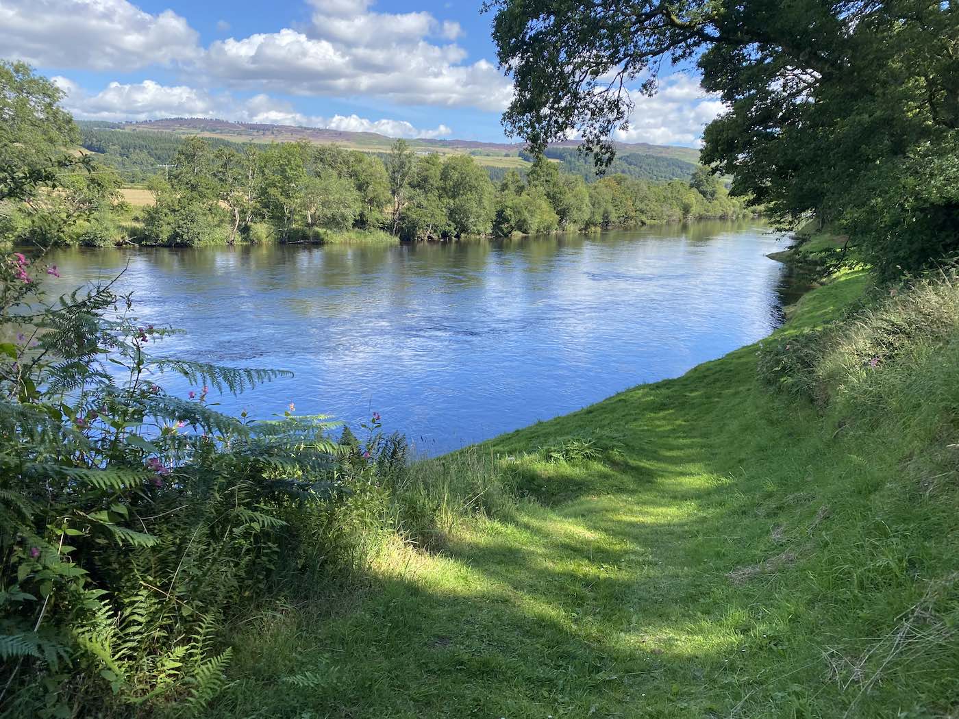 Look at this fine picture of the River Tay taken from the Upper Kinnaird salmon fishing hut which sits in a perfect elevated position overlooking the river. The little riffle you see in the picture is known as Daffodil Lie which often produces a quick salmon fishing guests.