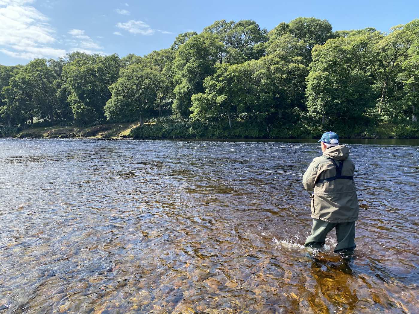 Here's a guided River Tay salmon fishing guest fishing his way methodically down through the Meetings Pool on the Upper Kinnaird salmon beat which is a perfect holding area for salmon in medium to low water levels from mid March through to October each year. Look at the beautiful fully leafed oak trees on the far side of the river.