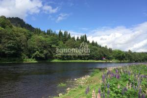 Newtyle Beat Boil Pool