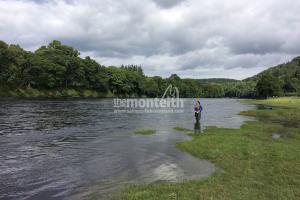 The Left Hand Bank Of The Newtyle Beat's Cottar Pool