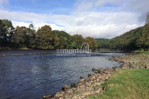 Newtyle Beat River Tay 14