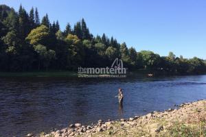 Newtyle Beat River Tay 15