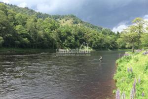 Newtyle Beat River Tay 18