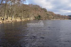 Newtyle Beat River Tay 22