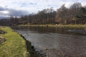 Invery Beat River Dee 21