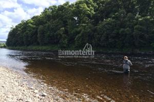 Lower Kinnaird 8
