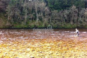 Lower Tummel 5