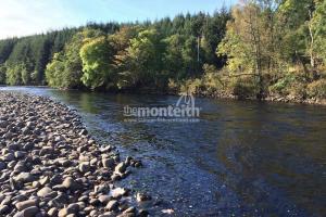 Lower Tummel 10