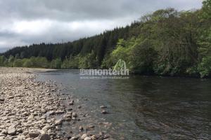 Lower Tummel 16