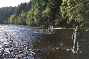 Lower Tummel 20