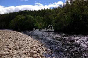 Lower Tummel 19