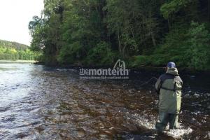 Lower Tummel 22