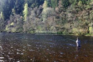 Lower Tummel 25