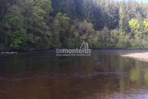 Lower Tummel 30