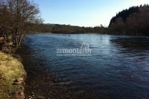 Lower Tummel 31