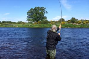 Speycasting Tuition
