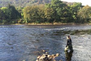 Scottish Salmon Management