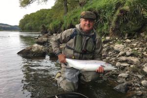 Consistently Catching Salmon