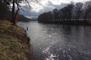 Salmon River Sunlight