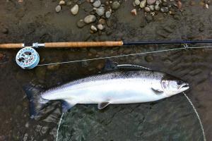 Salmon Fishing & Spey Casting Tuition