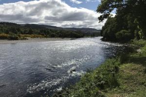 Effective Salmon Pool Coverage