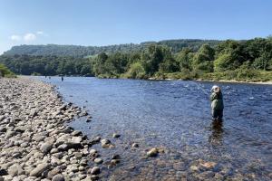 Salmon Fishing Tuition