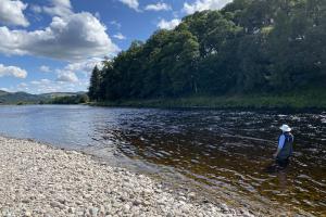 Fishing Your Salmon Fly