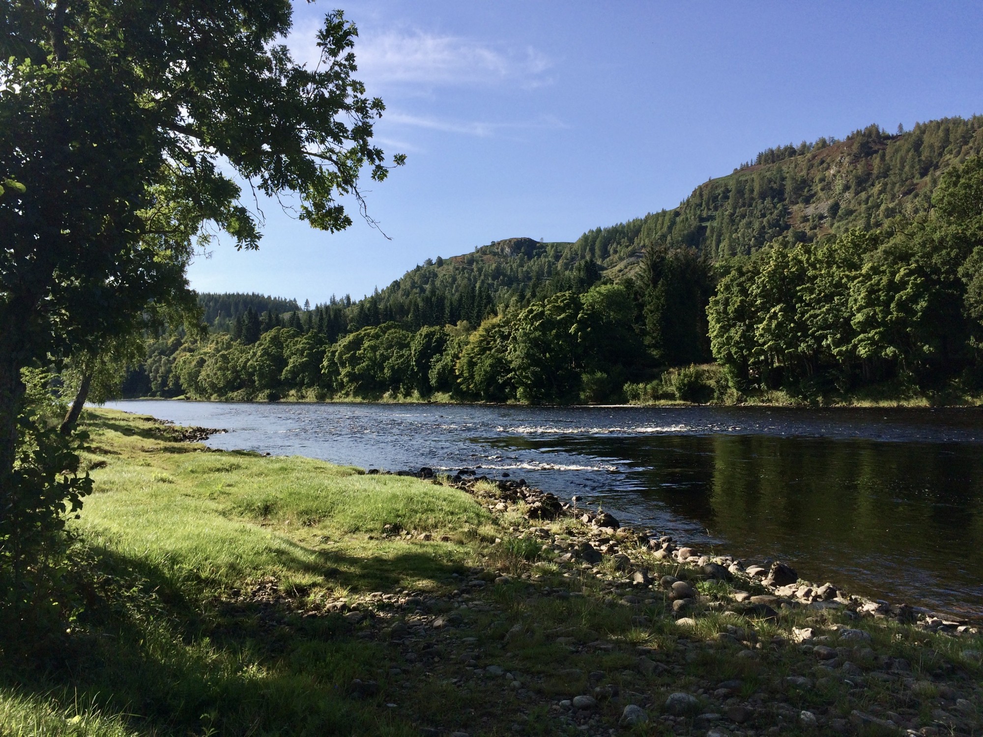 The dark glassy water shown here at the tail of the Trap Pool on the Tay's Newtyle Beat is one of those hot spots where salmon love to stop after powering up through the faster water below. This pool and the downstream Cottar Pool are a delight to fly fish through with always a real chance of some salmon action. I took this shot while working as a salmon fishing guide on this lovely River Tay salmon beat.