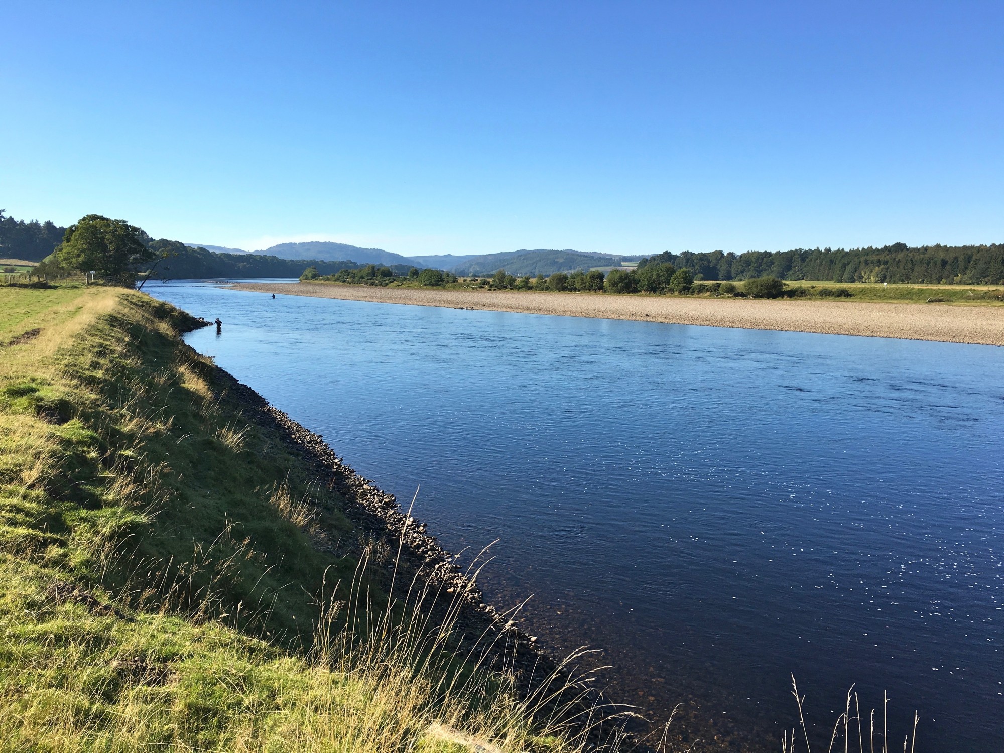 Here's an upstream shot of the neck of the Boatlands salmon pool with the Dunkeld Hills visible in the background which is typical of the perfect scenery on the middle area of the River Tay. This salmon fisher shot was taken by myself as I was this angler's salmon fishing guide for the day.