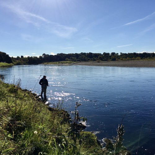 Salmon Fly Fishing